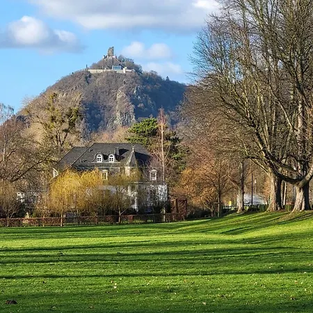 Olivenblick * Bad Honnef