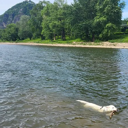 Olivenblick Bad Honnef