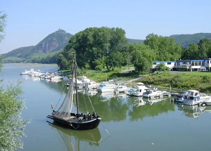 Olivenblick Bad Honnef