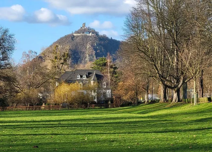 Olivenblick * Bad Honnef