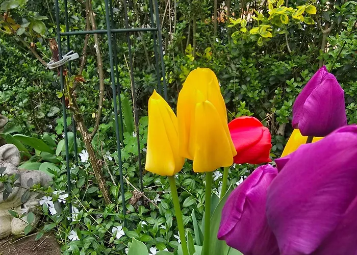 Apartment Olivenblick *