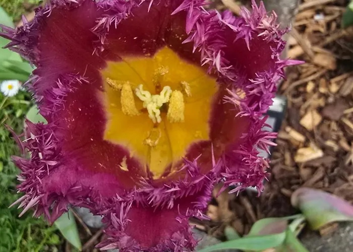 Apartment Olivenblick